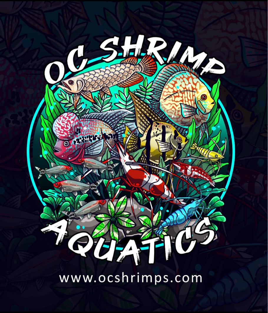 FISH STORE – OC SHRIMP AQUATIC